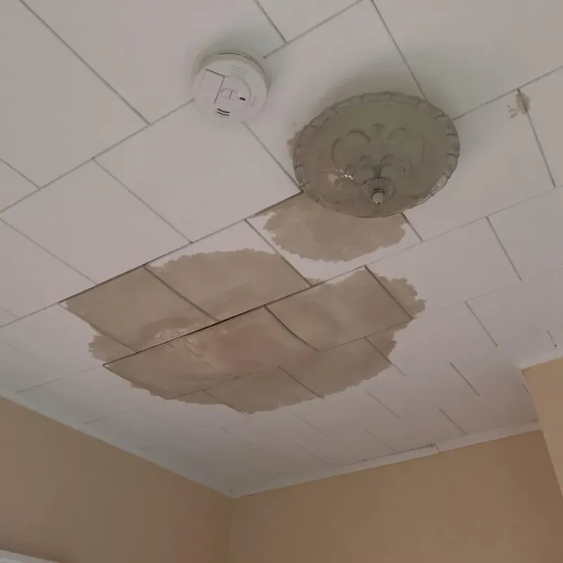 Ceiling Water Damage Repair in Tolland, CT