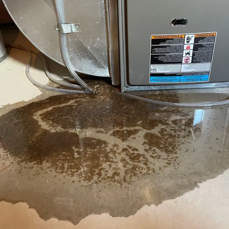 Pipe Burst and Leak Restoration in Tolland, CT