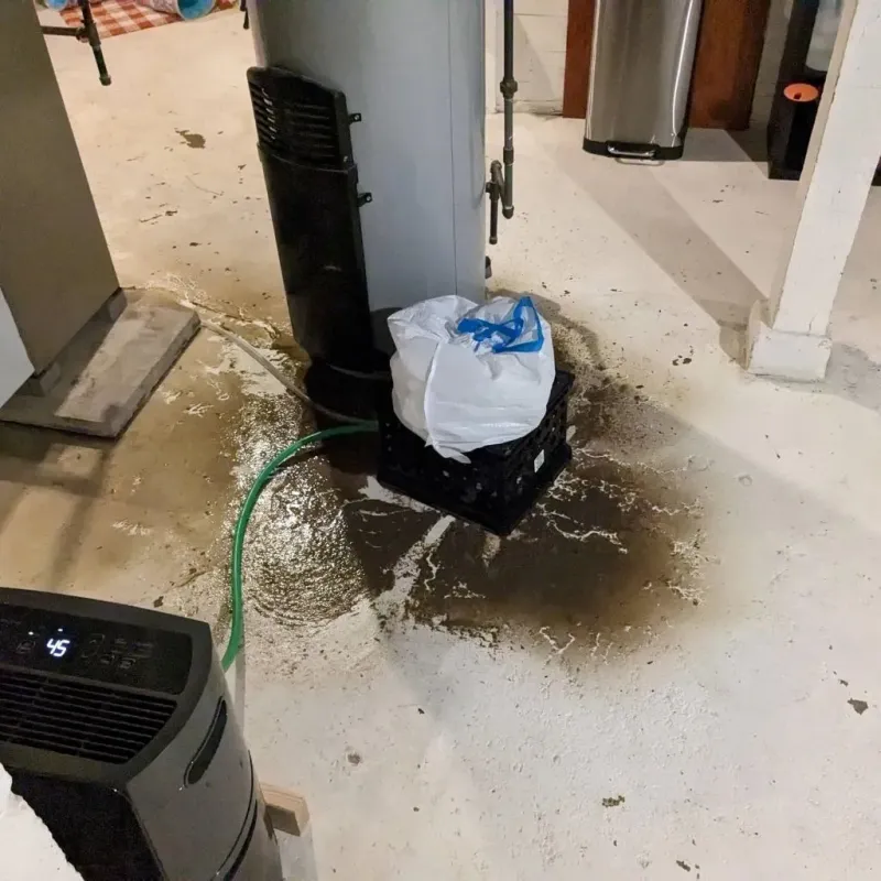 Sewage Backup Cleanup Service in Tolland, CT